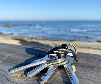 Orca Keyring - Keiko
