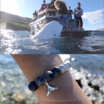 Beluga bracelet