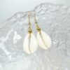 cowrie shell earrings