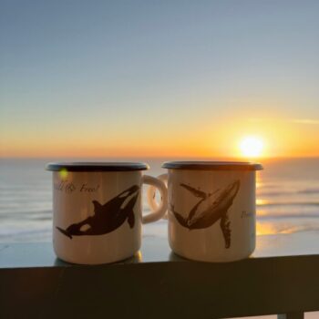 whale_mugs_orca